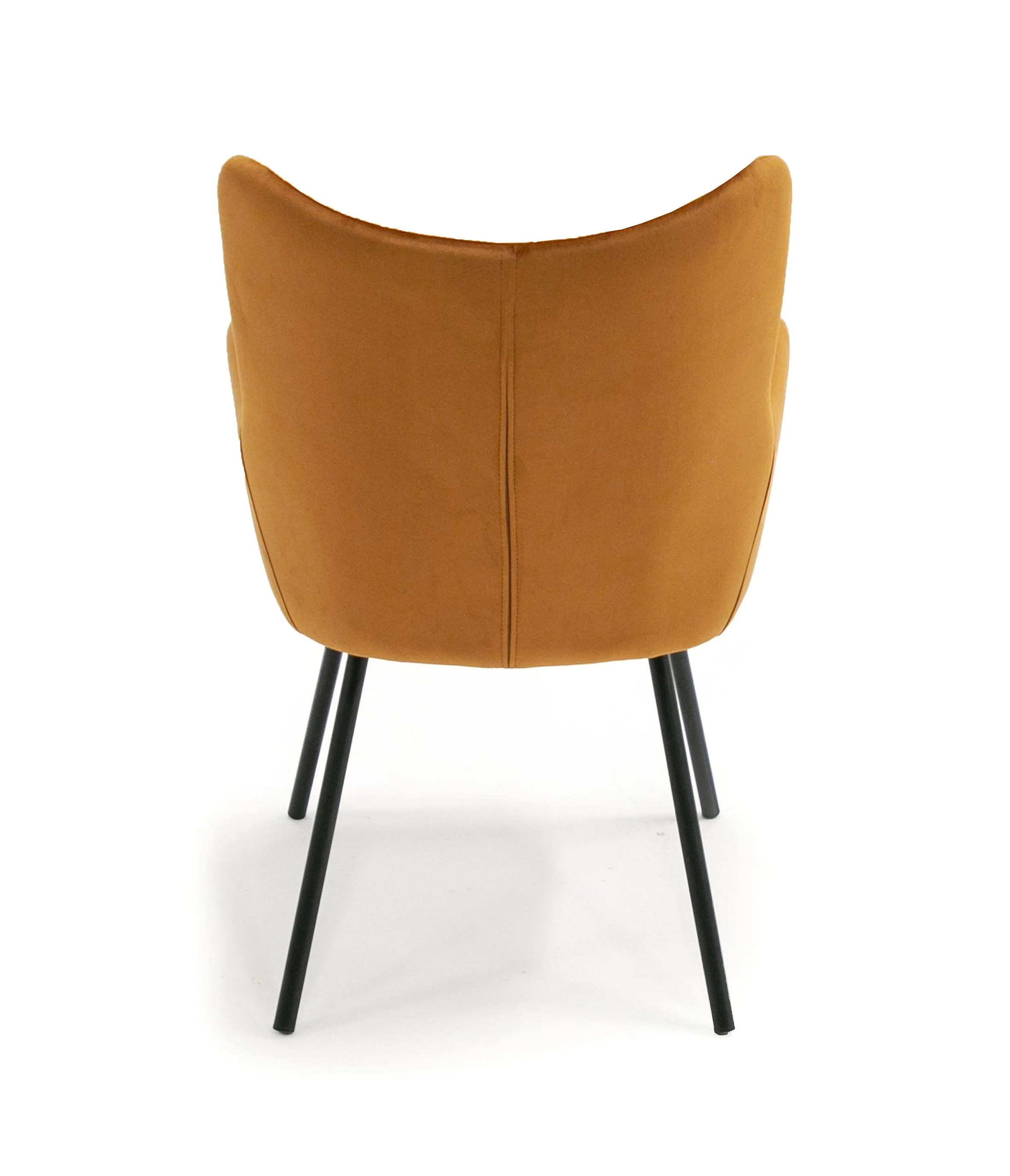 Modrest Barrett Modern Dining Chair - Image 6