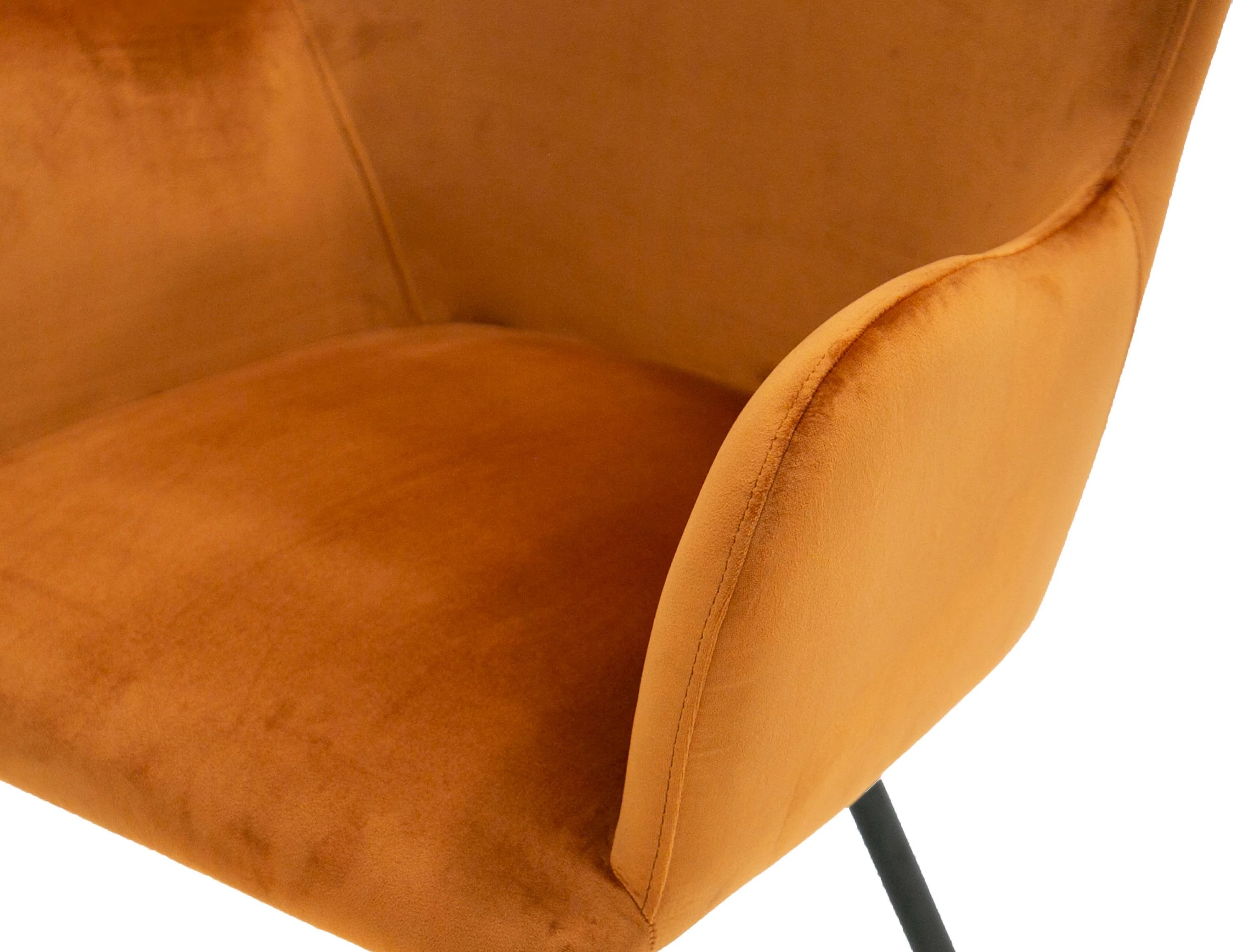 Modrest Barrett Modern Dining Chair - Image 7