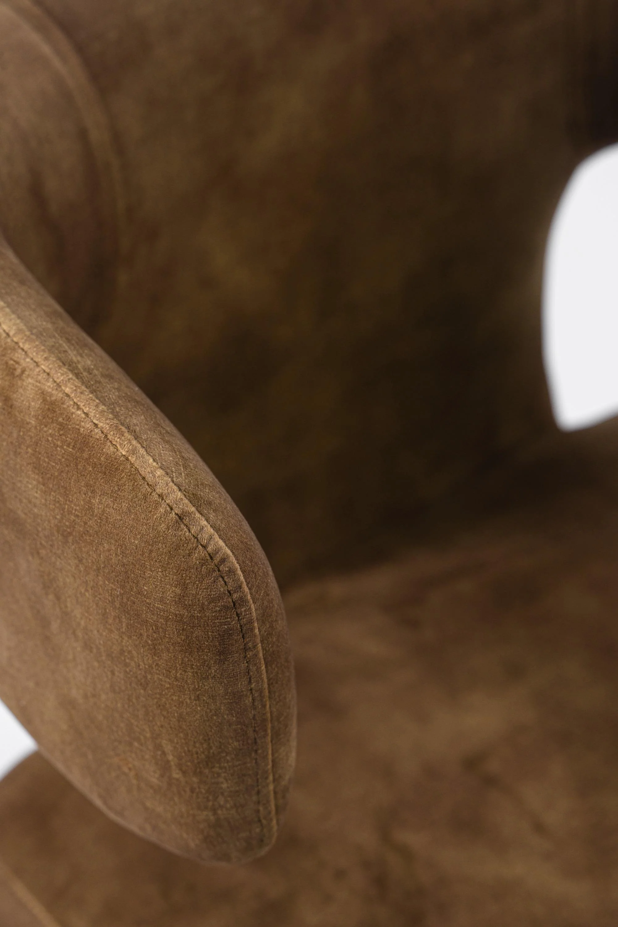 Modrest Bergman Modern Dining Chair - Image 5