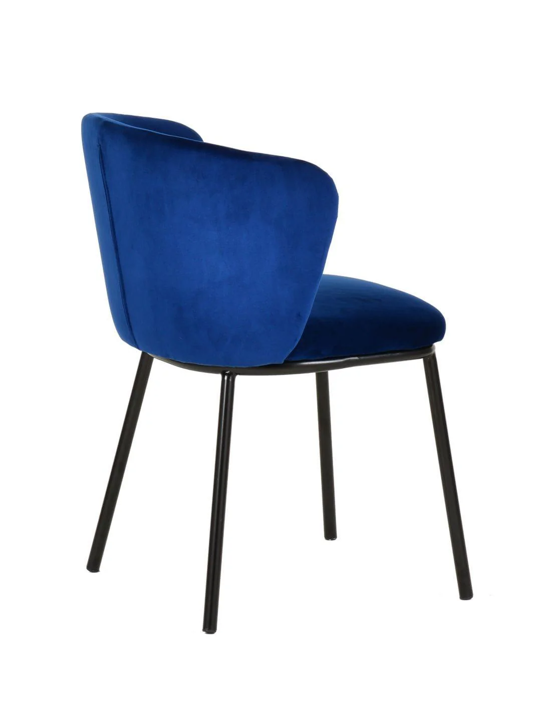 Modrest Bessie Modern Dining Chair - Image 7