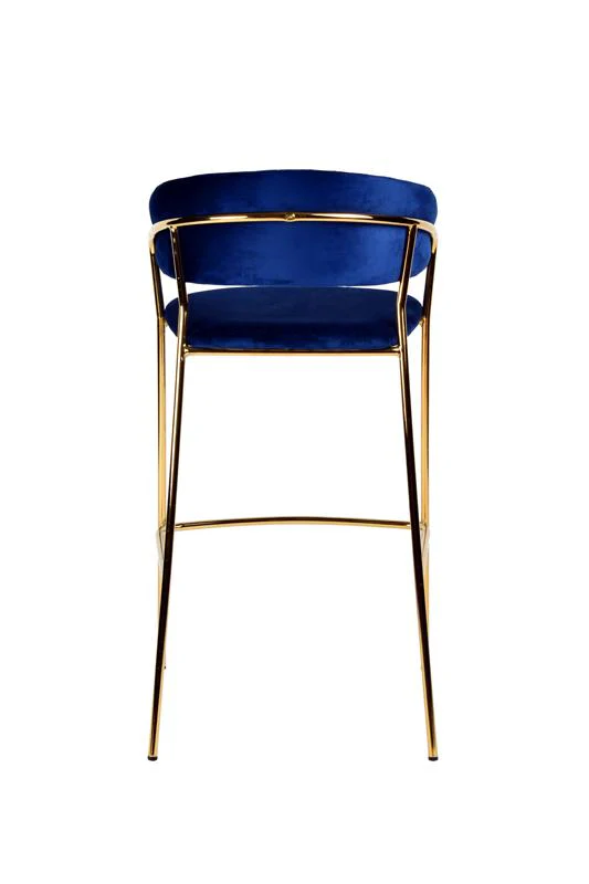 Modrest Brandy Modern Bar Stool - Image 3