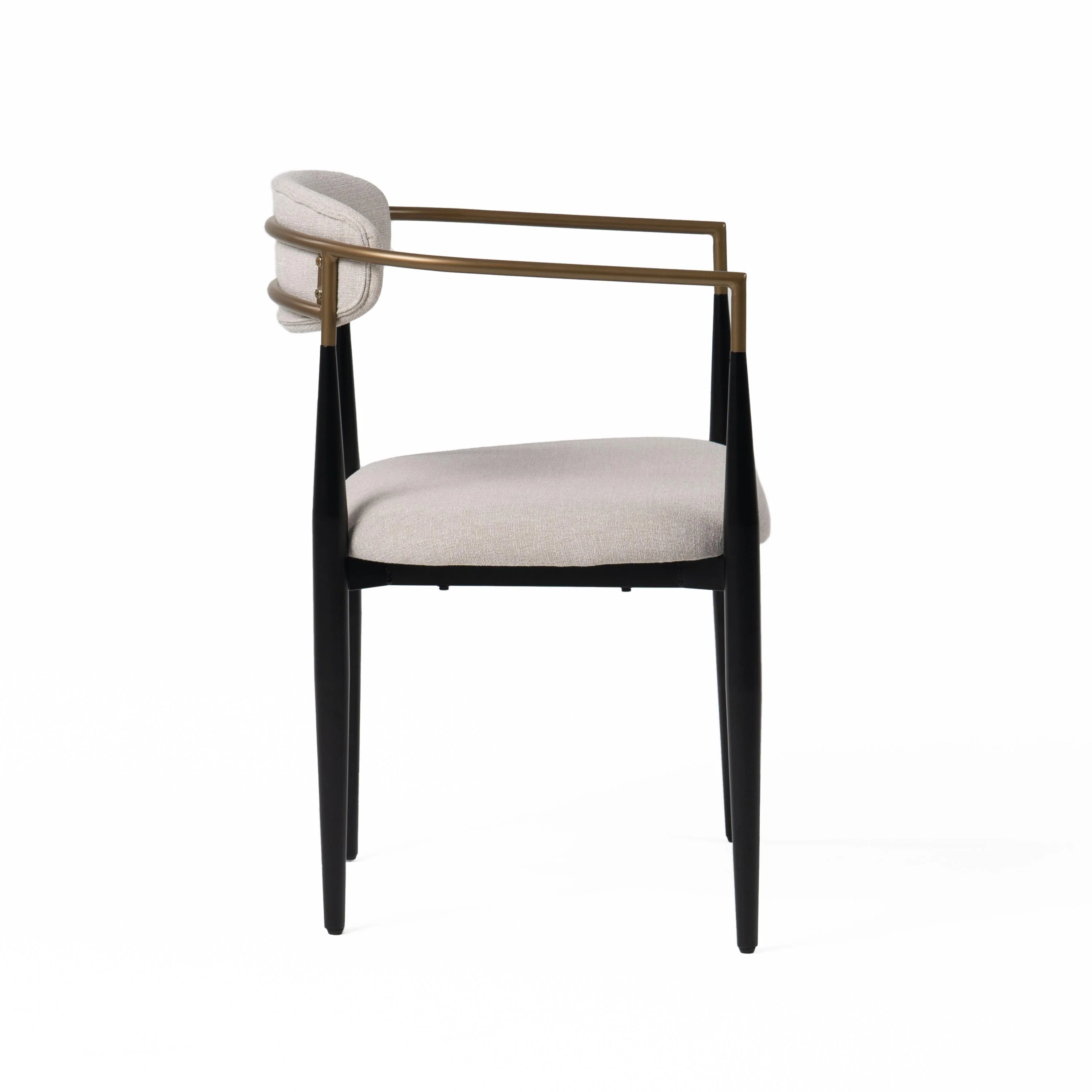 Modrest Buchtel Modern Dining Chair - Image 4