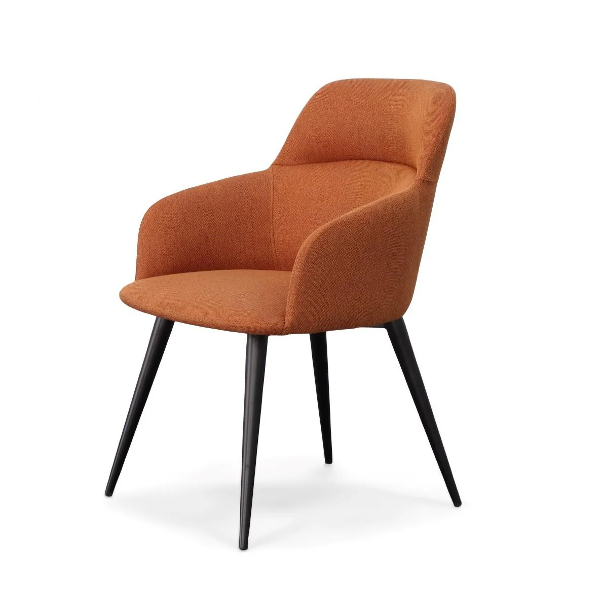 Modrest Scranton Modern Dining Chair - Image 4